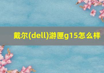 戴尔(dell)游匣g15怎么样