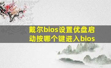 戴尔bios设置优盘启动按哪个键进入bios