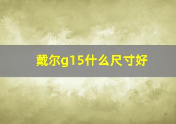 戴尔g15什么尺寸好