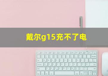 戴尔g15充不了电