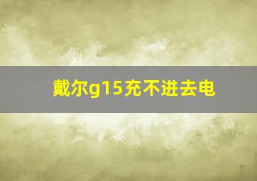 戴尔g15充不进去电