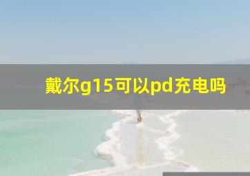 戴尔g15可以pd充电吗