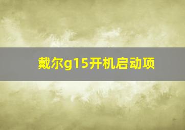 戴尔g15开机启动项