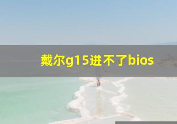 戴尔g15进不了bios