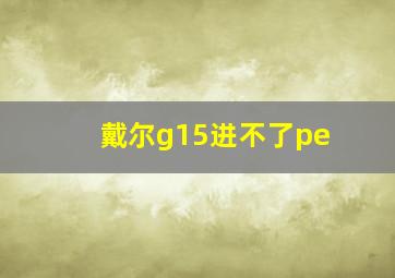 戴尔g15进不了pe