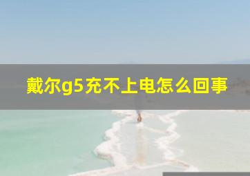 戴尔g5充不上电怎么回事