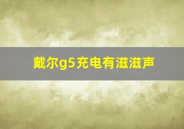 戴尔g5充电有滋滋声