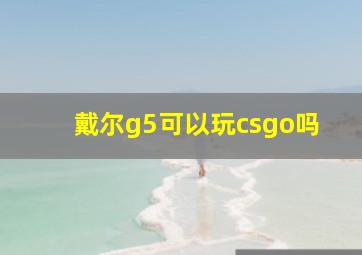 戴尔g5可以玩csgo吗