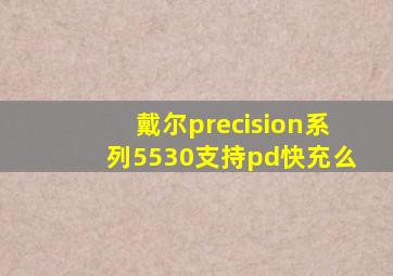 戴尔precision系列5530支持pd快充么