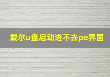 戴尔u盘启动进不去pe界面