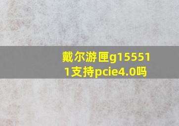 戴尔游匣g155511支持pcie4.0吗