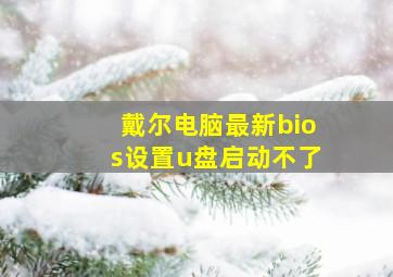 戴尔电脑最新bios设置u盘启动不了