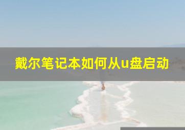 戴尔笔记本如何从u盘启动