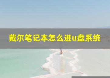 戴尔笔记本怎么进u盘系统