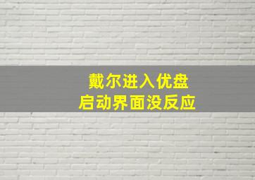 戴尔进入优盘启动界面没反应