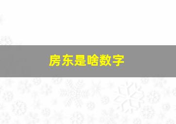 房东是啥数字