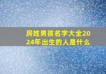 房姓男孩名字大全2024年出生的人是什么