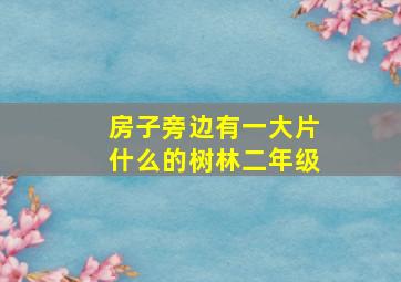 房子旁边有一大片什么的树林二年级