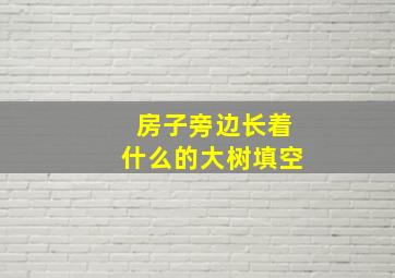 房子旁边长着什么的大树填空