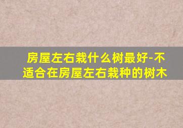 房屋左右栽什么树最好-不适合在房屋左右栽种的树木