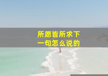 所愿皆所求下一句怎么说的