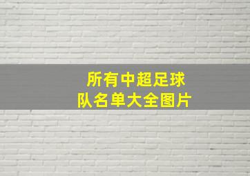 所有中超足球队名单大全图片