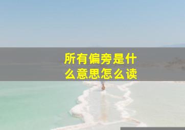 所有偏旁是什么意思怎么读