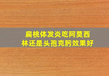 扁桃体发炎吃阿莫西林还是头孢克肟效果好