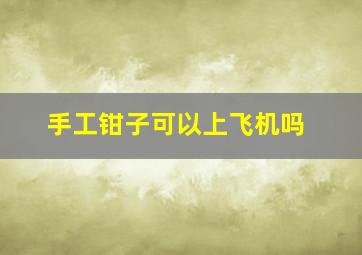 手工钳子可以上飞机吗