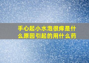 手心起小水泡很痒是什么原因引起的用什么药