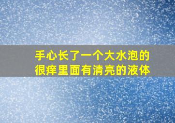 手心长了一个大水泡的很痒里面有清亮的液体