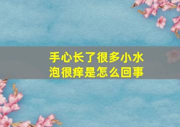 手心长了很多小水泡很痒是怎么回事