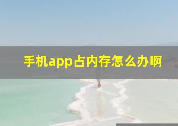 手机app占内存怎么办啊