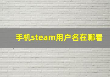 手机steam用户名在哪看