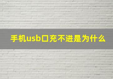 手机usb口充不进是为什么