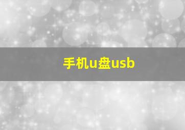 手机u盘usb