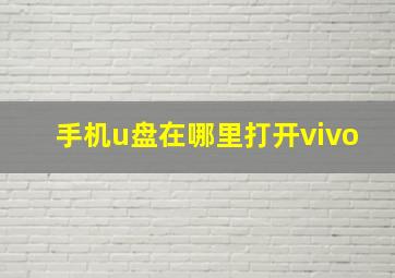 手机u盘在哪里打开vivo