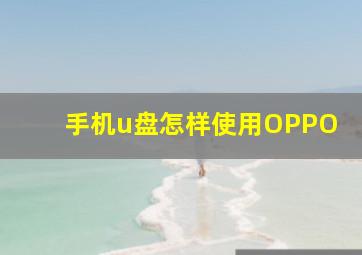 手机u盘怎样使用OPPO