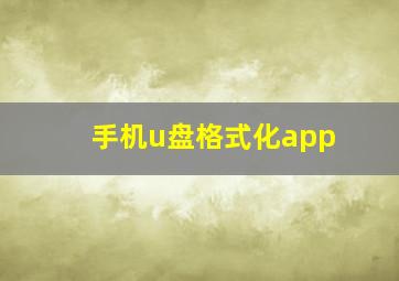 手机u盘格式化app