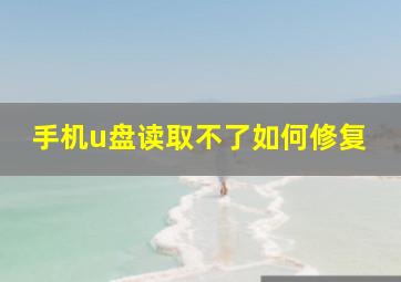 手机u盘读取不了如何修复