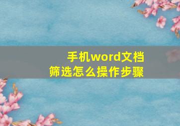 手机word文档筛选怎么操作步骤