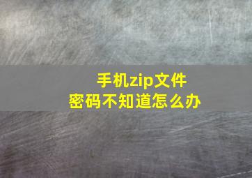 手机zip文件密码不知道怎么办