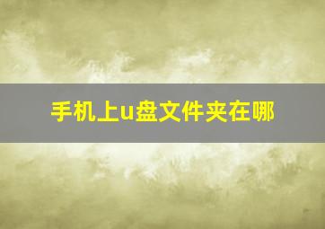 手机上u盘文件夹在哪