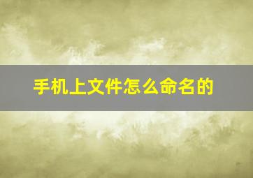 手机上文件怎么命名的