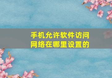 手机允许软件访问网络在哪里设置的