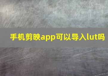 手机剪映app可以导入lut吗