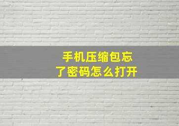 手机压缩包忘了密码怎么打开