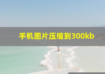 手机图片压缩到300kb