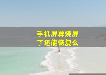 手机屏幕烧屏了还能恢复么