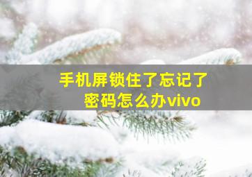 手机屏锁住了忘记了密码怎么办vivo